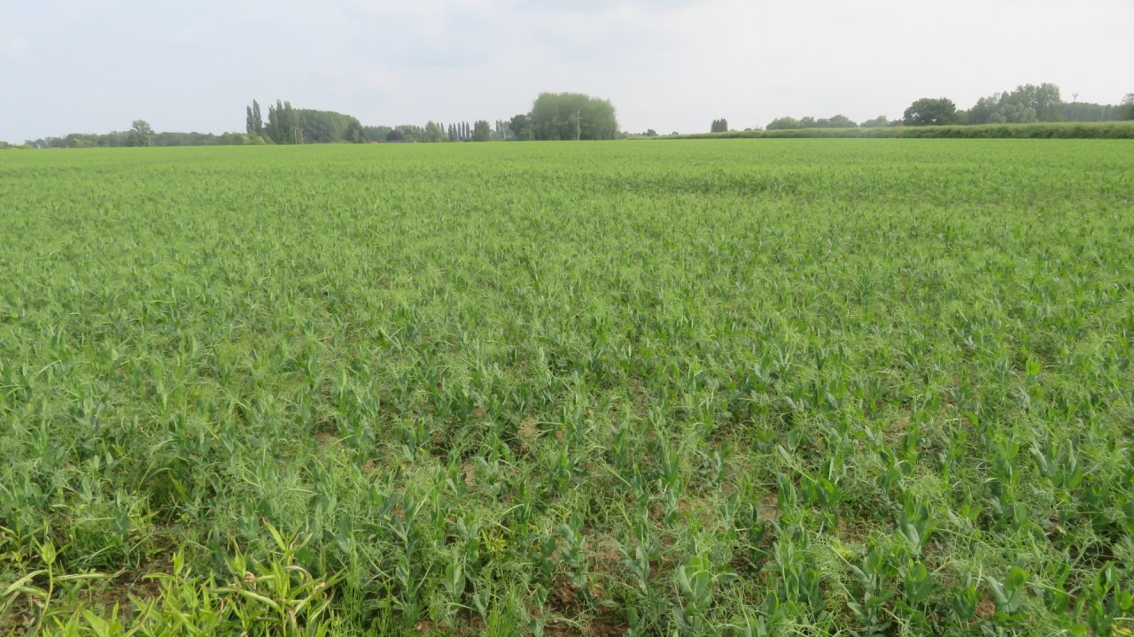 photo du diaporama
