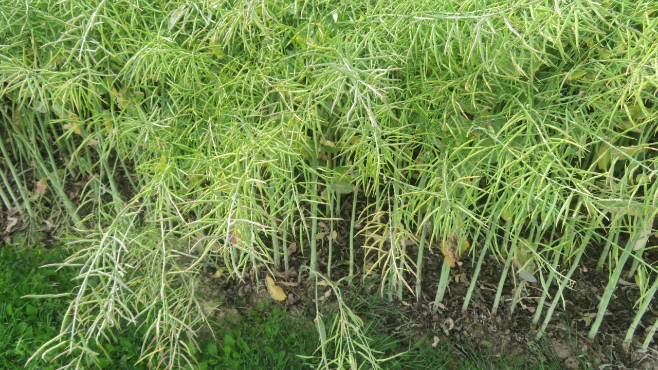 photo du diaporama