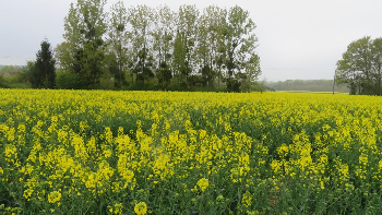 photo de la randonn�e