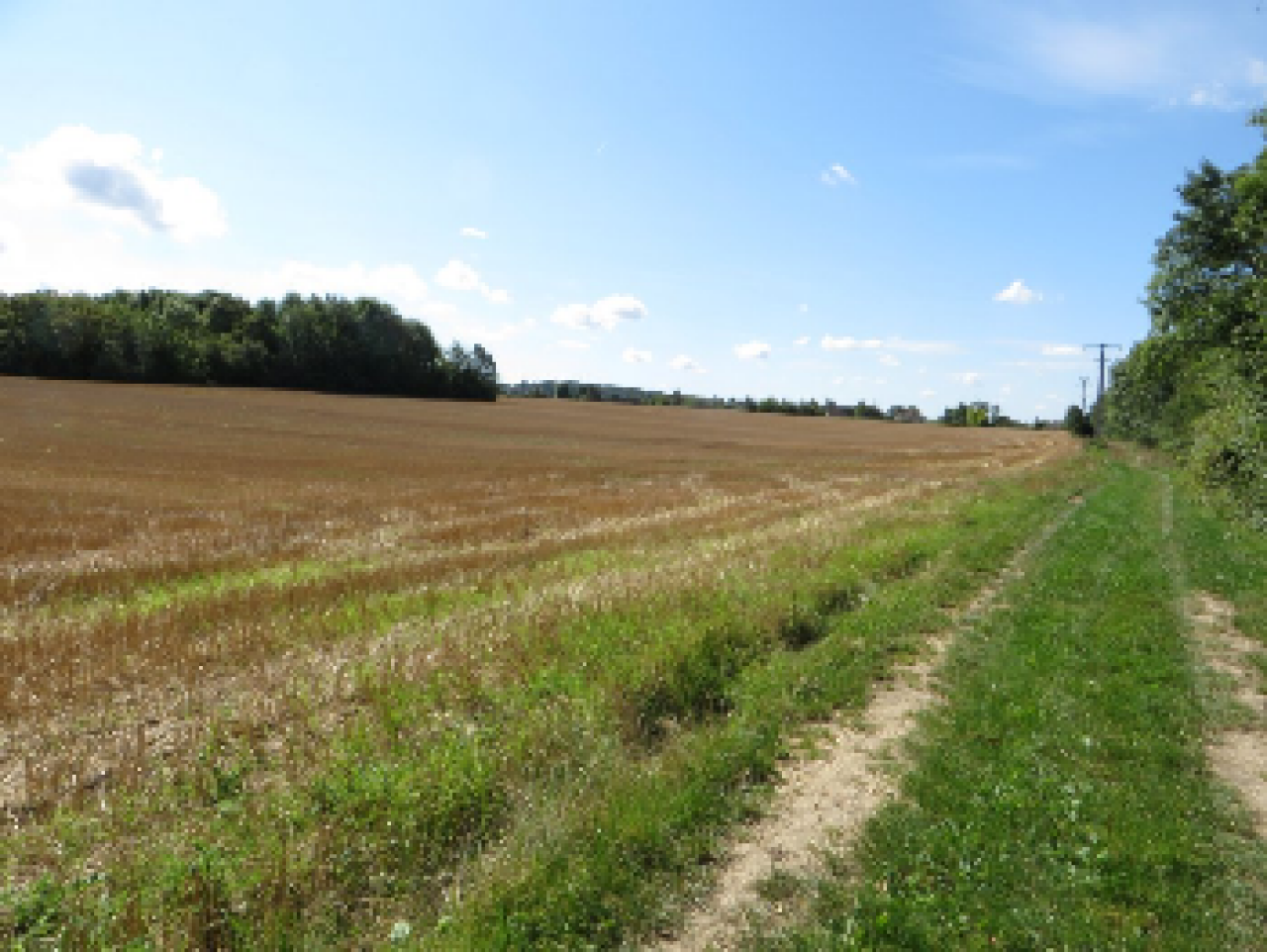 photo de la randonn�e