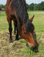 diaporama de la randonn�e