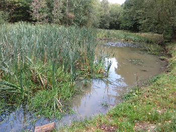 photo de la randonn�e