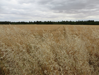 photo de la randonn�e