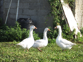 photo de la randonn�e