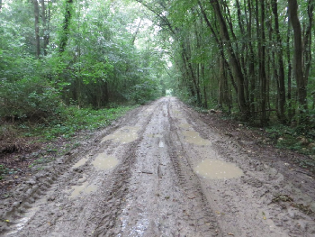 photo de la randonn�e