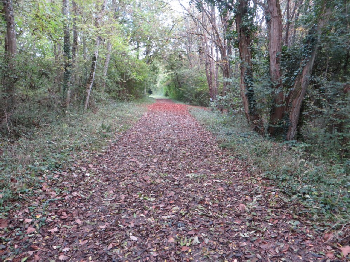 photo de la randonn�e