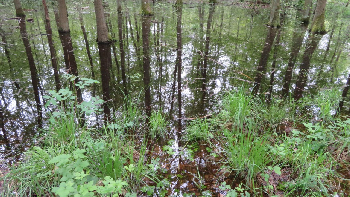 photo de la randonn�e