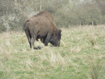 photo de la randonn�e