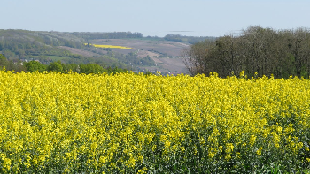 photo de la randonn�e