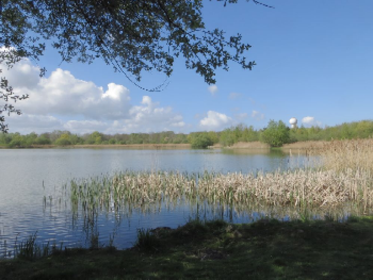 photo de la randonn�e