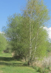 diaporama de la randonn�e