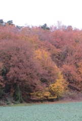 diaporama de la randonn�e