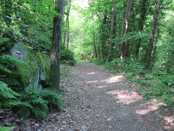 photo de la randonn�e