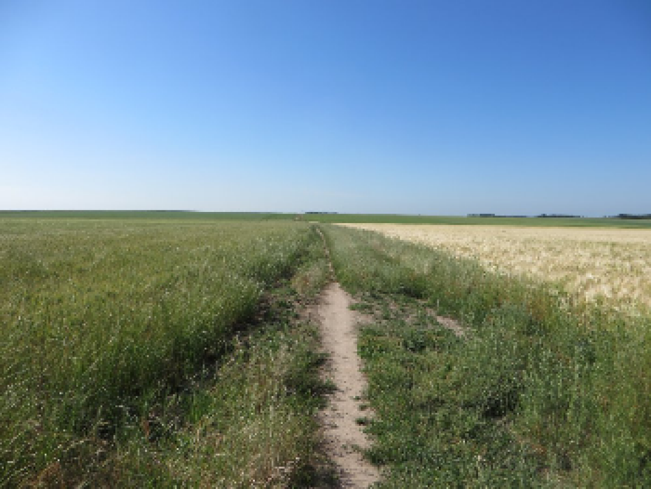 photo de la randonn�e