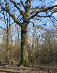 diaporama de la randonn�e