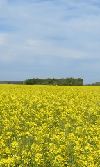 diaporama de la randonn�e