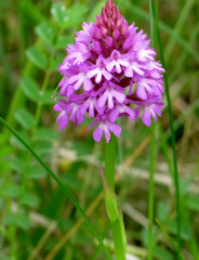 diaporama de la randonn�e