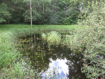 photo de la randonn�e