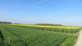 photo de la randonn�e