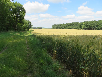 photo de la randonn�e