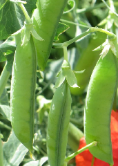 diaporama de la randonn�e