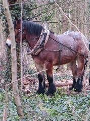 diaporama de la randonn�e