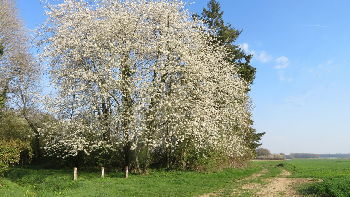 photo de la randonn�e