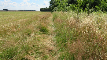 photo de la randonn�e