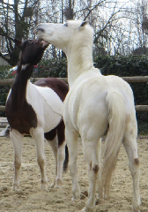 diaporama de la randonn�e