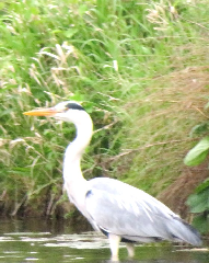 diaporama de la randonn�e