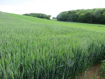 photo de la randonn�e