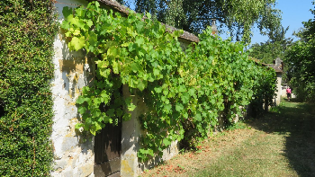 photo de la randonn�e