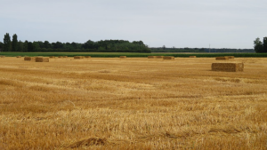 photo de la randonn�e