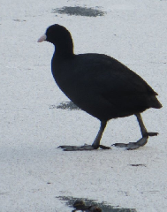 diaporama de la randonn�e