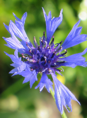 diaporama de la randonn�e