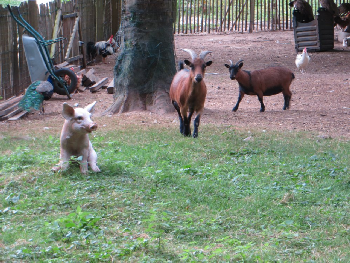 photo de la randonn�e