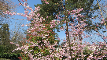 photo de la randonn�e