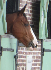 diaporama de la randonn�e