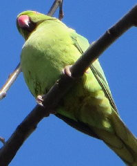 diaporama de la randonn�e