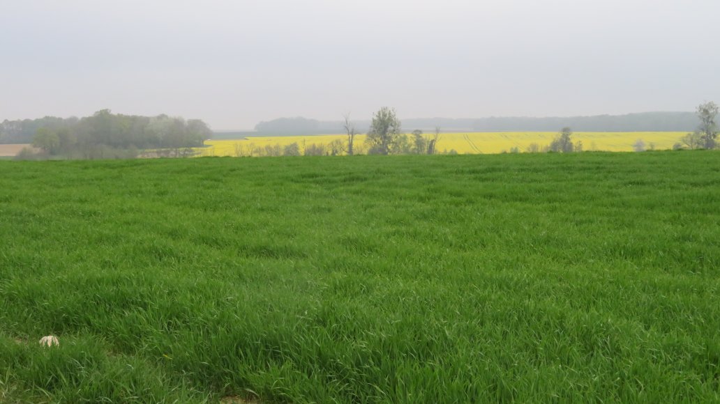 photo du diaporama