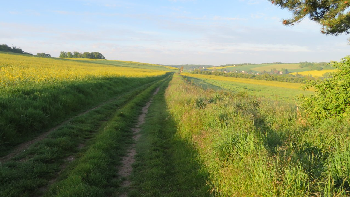 photo de la randonne