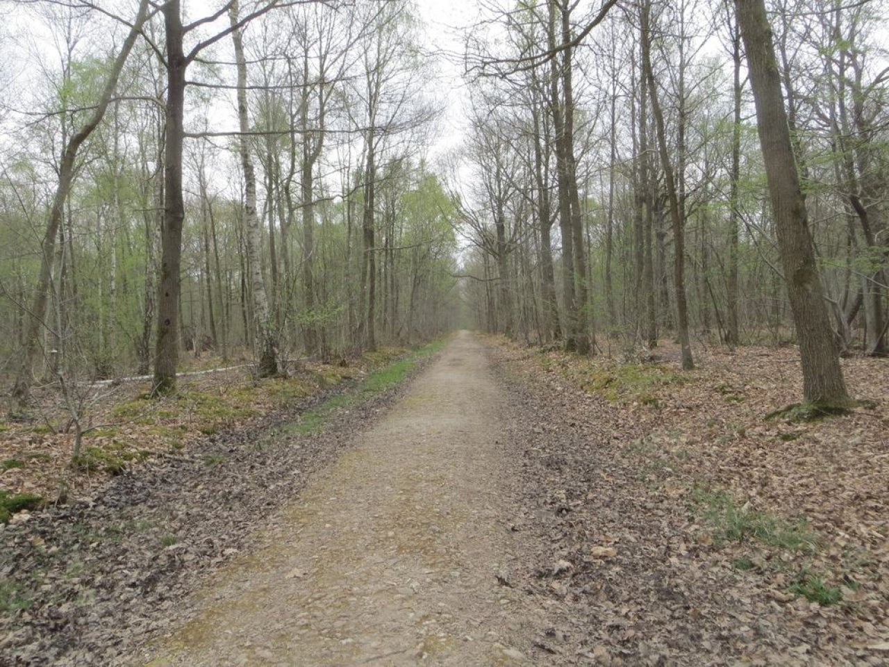 photo du diaporama