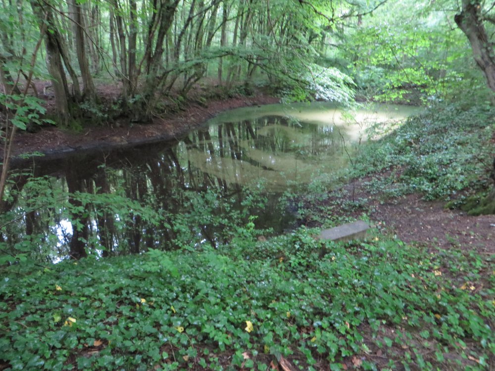 photo du diaporama