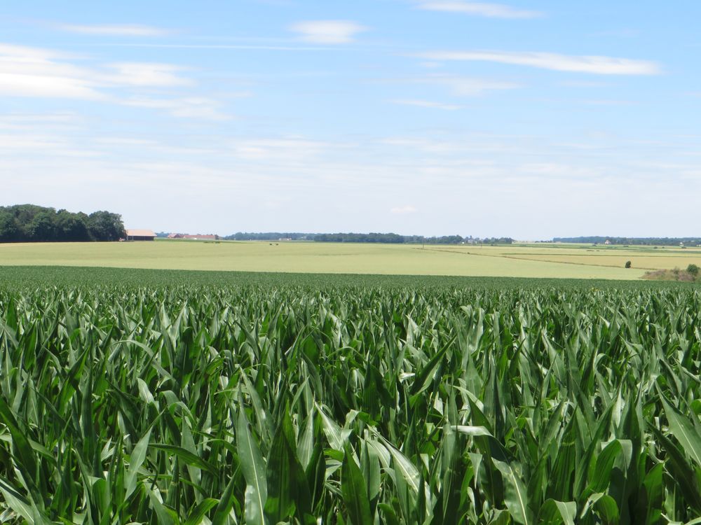 photo du diaporama