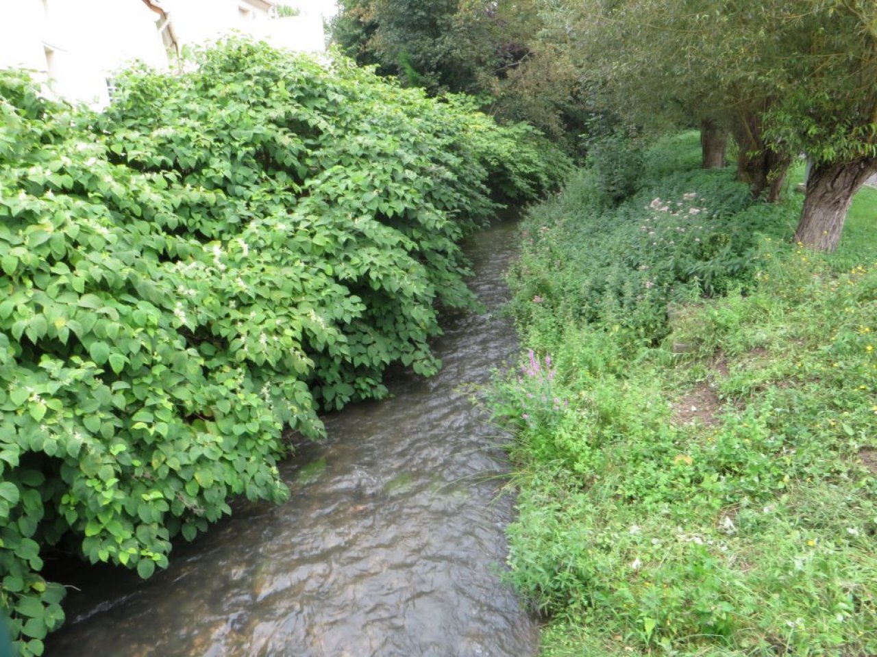 photo du diaporama