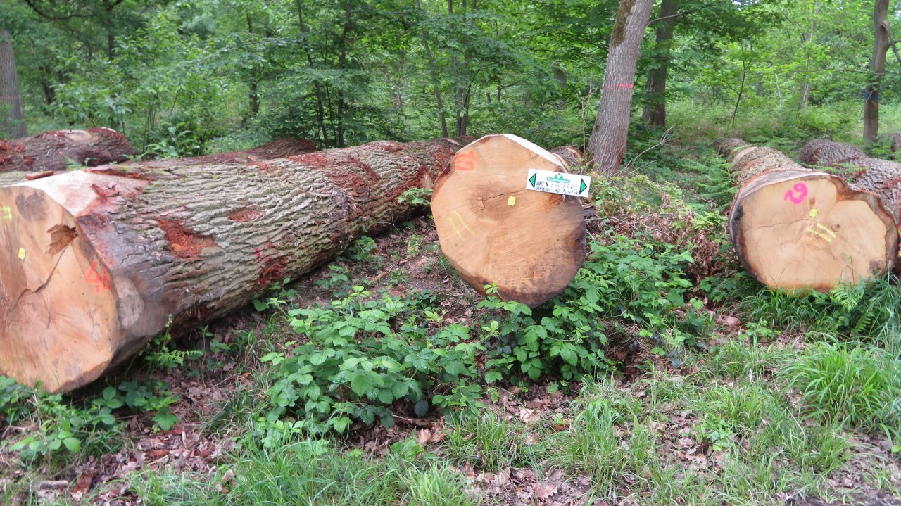photo du diaporama