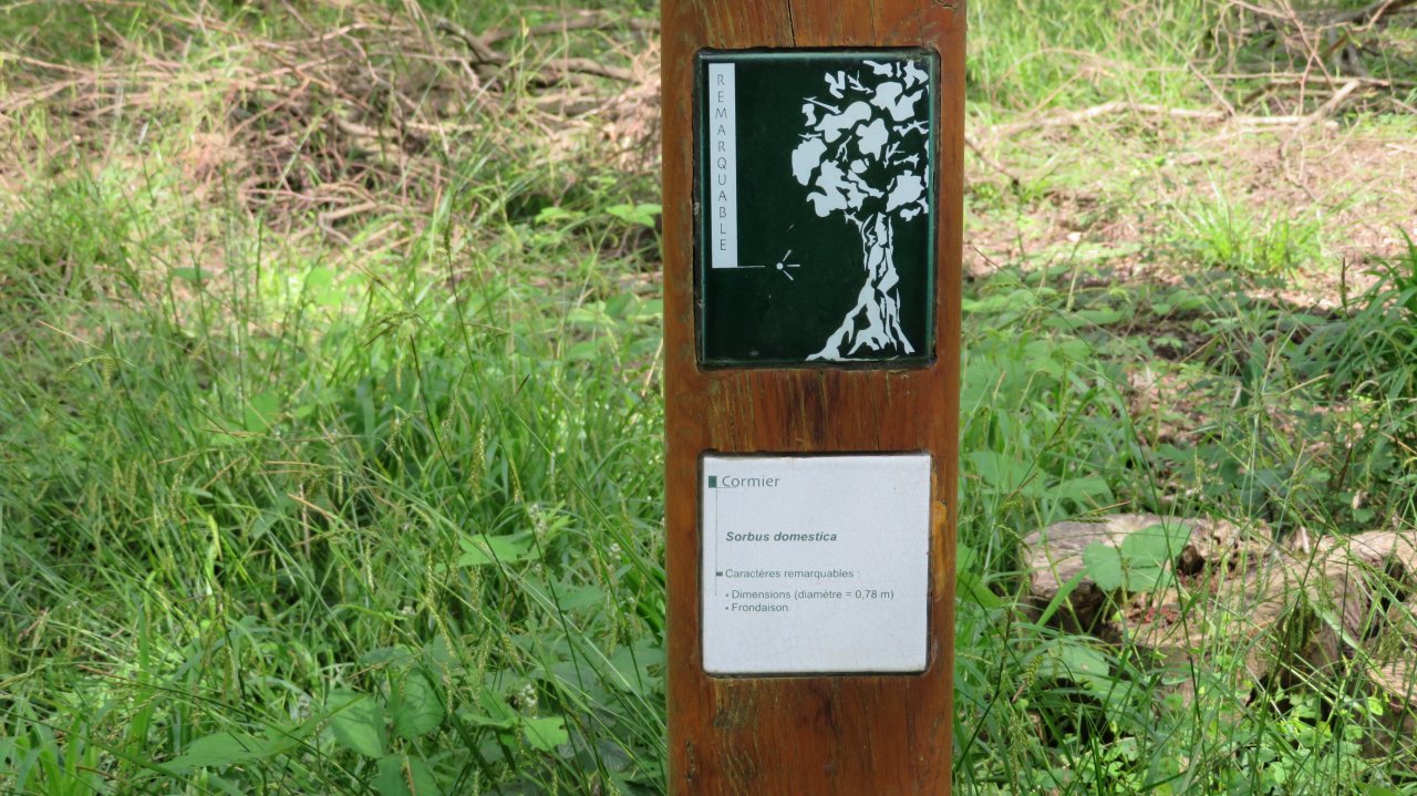 photo du diaporama