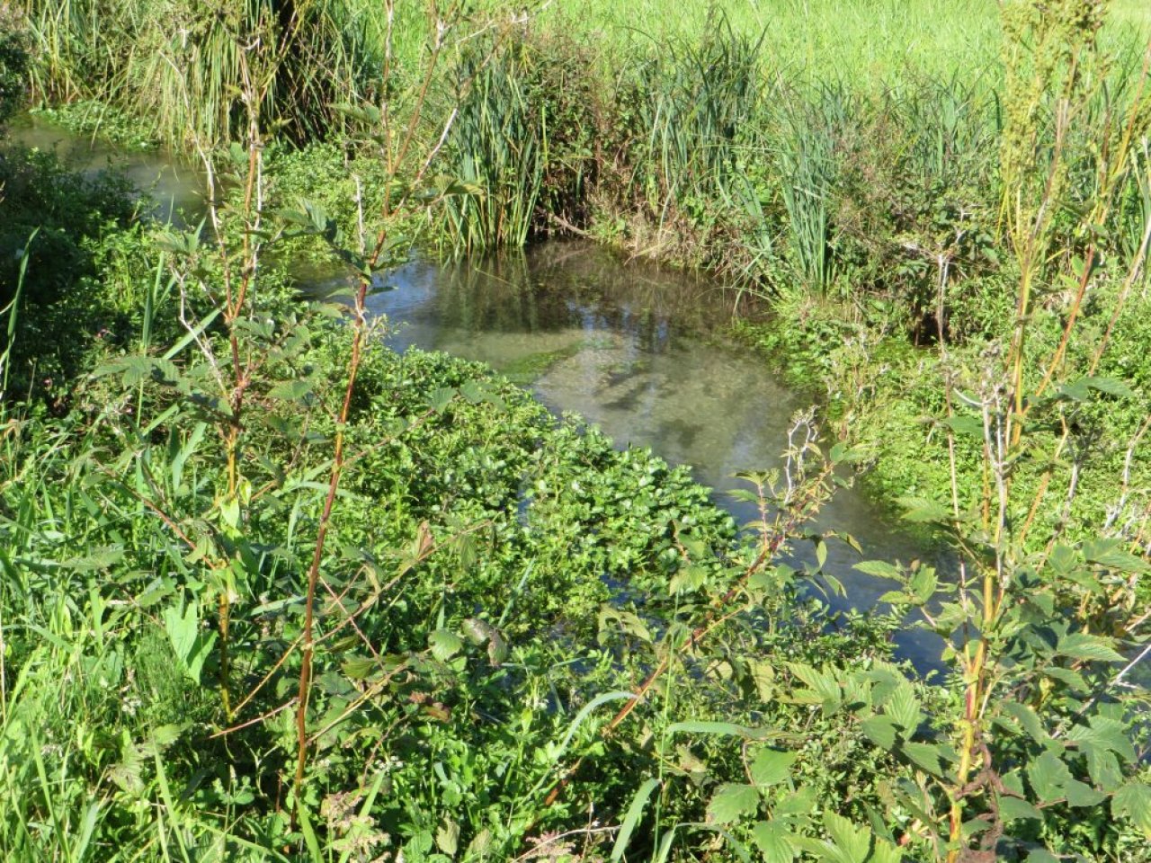 photo du diaporama
