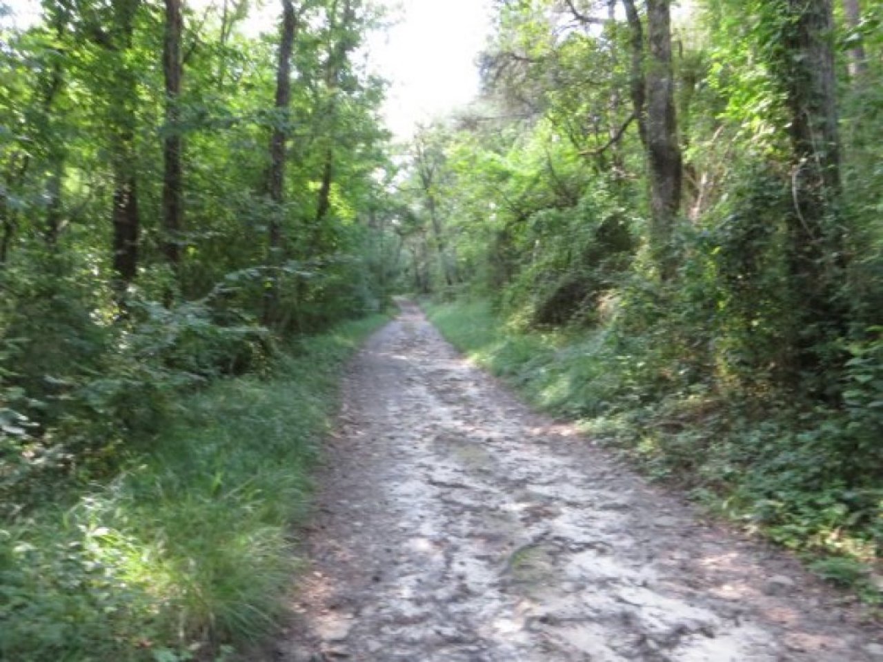 photo du diaporama