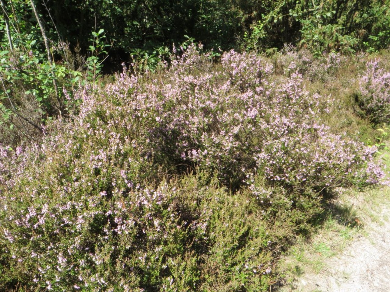 photo du diaporama